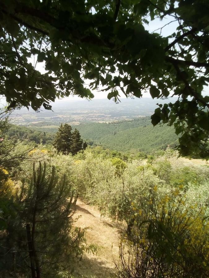 Casa Renacci Βίλα Subbiano Εξωτερικό φωτογραφία